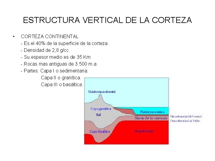 ESTRUCTURA VERTICAL DE LA CORTEZA • CORTEZA CONTINENTAL - Es el 40% de la