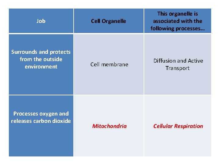 Job Cell Organelle This organelle is associated with the following processes… Surrounds and protects