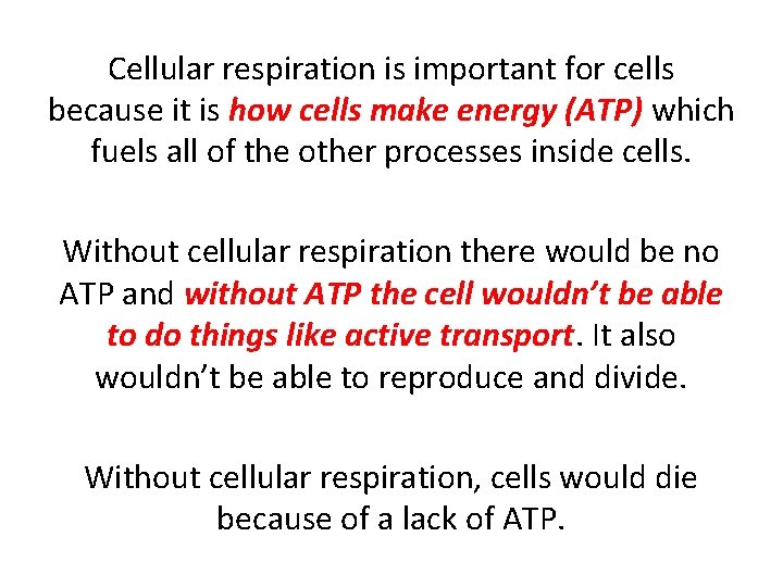 Cellular respiration is important for cells because it is how cells make energy (ATP)