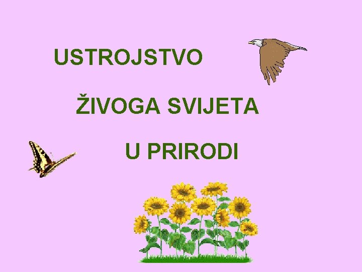 USTROJSTVO ŽIVOGA SVIJETA U PRIRODI 