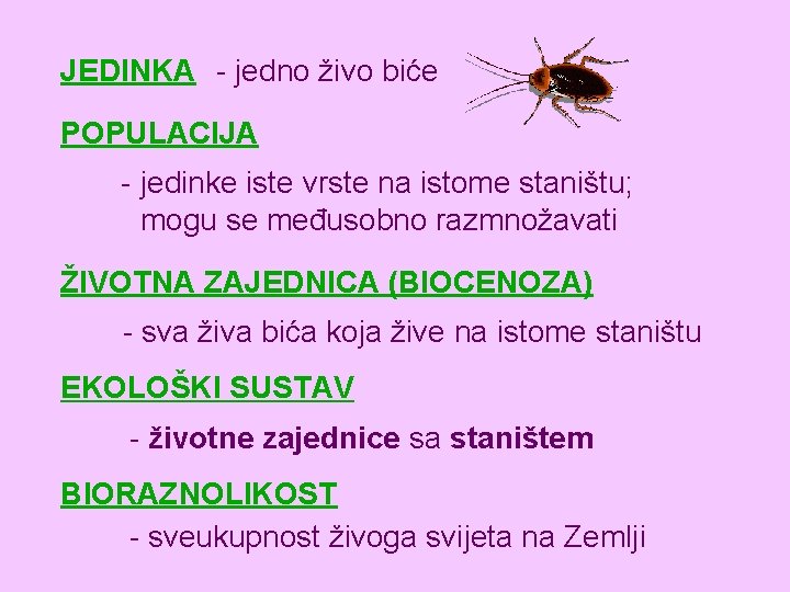 JEDINKA - jedno živo biće POPULACIJA - jedinke iste vrste na istome staništu; mogu