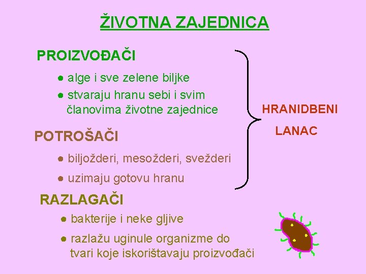 ŽIVOTNA ZAJEDNICA PROIZVOĐAČI ● alge i sve zelene biljke ● stvaraju hranu sebi i