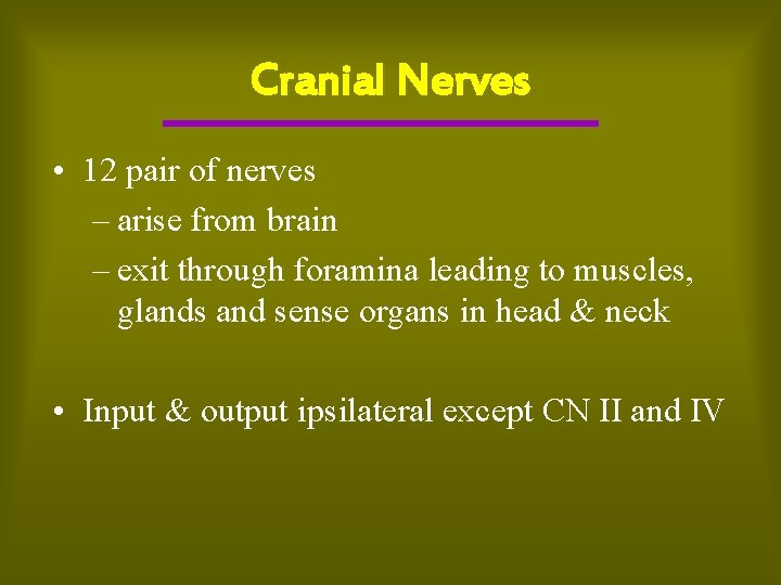 Cranial Nerves • 12 pair of nerves – arise from brain – exit through