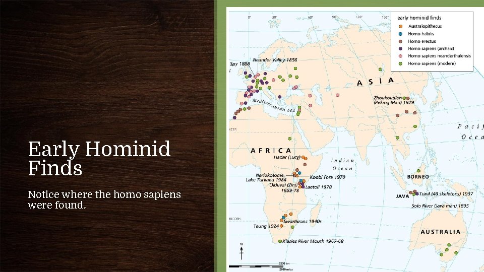 Early Hominid Finds Notice where the homo sapiens were found. 