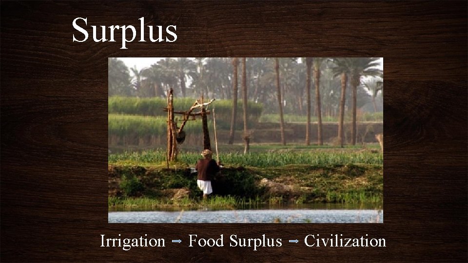 Surplus Irrigation Food Surplus Civilization 