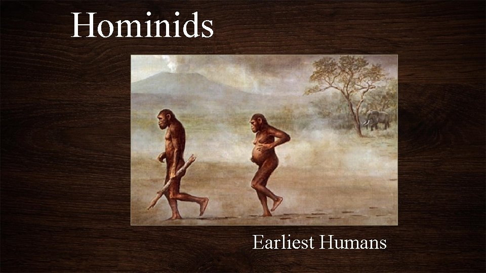 Hominids Earliest Humans 