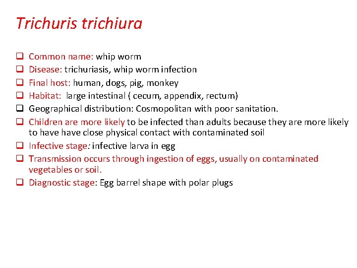 Trichuris trichiura Common name: whip worm Disease: trichuriasis, whip worm infection Final host: human,