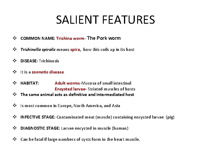 SALIENT FEATURES v COMMON NAME: Trichina worm- The Pork worm v Trichinella spiralis means