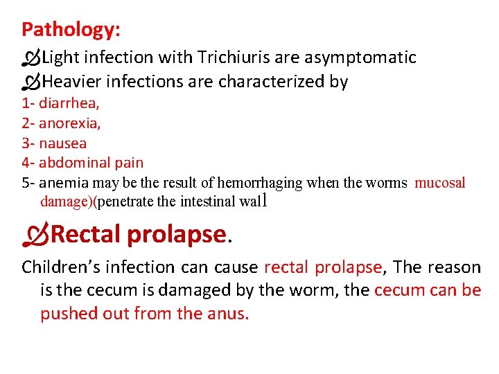 Pathology: Light infection with Trichiuris are asymptomatic Heavier infections are characterized by 1 -