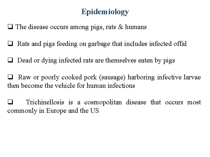 Epidemiology q The disease occurs among pigs, rats & humans q Rats and pigs