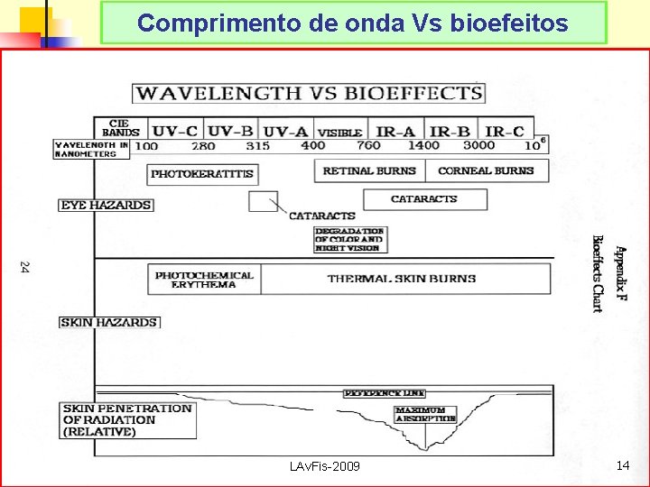 Comprimento de onda Vs bioefeitos LAv. Fis-2009 14 