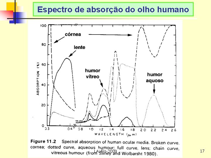 Espectro de absorção do olho humano LAv. Fis-2009 17 