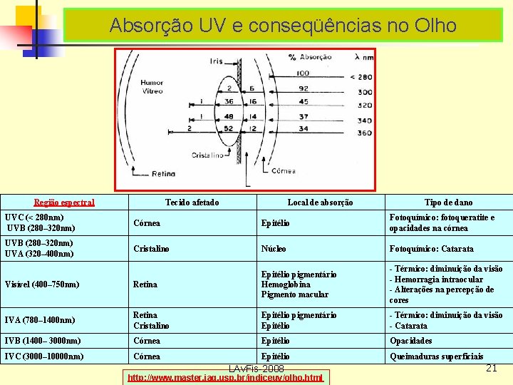 Absorção UV e conseqüências no Olho Região espectral Tecido afetado Local de absorção Tipo