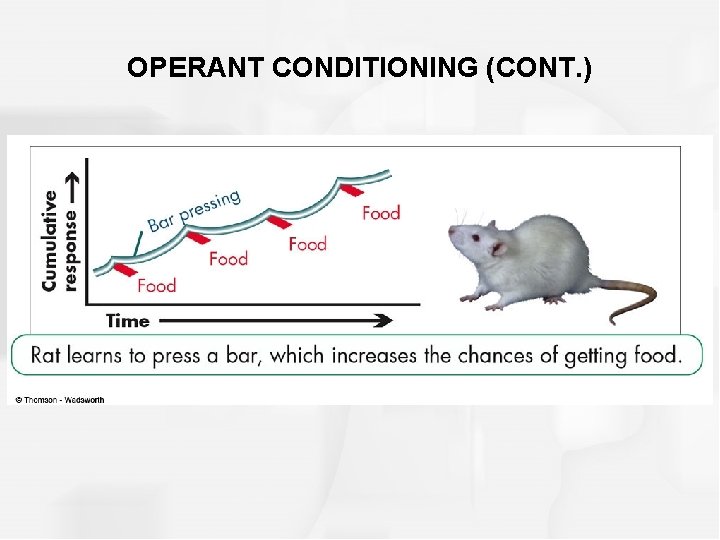 OPERANT CONDITIONING (CONT. ) 