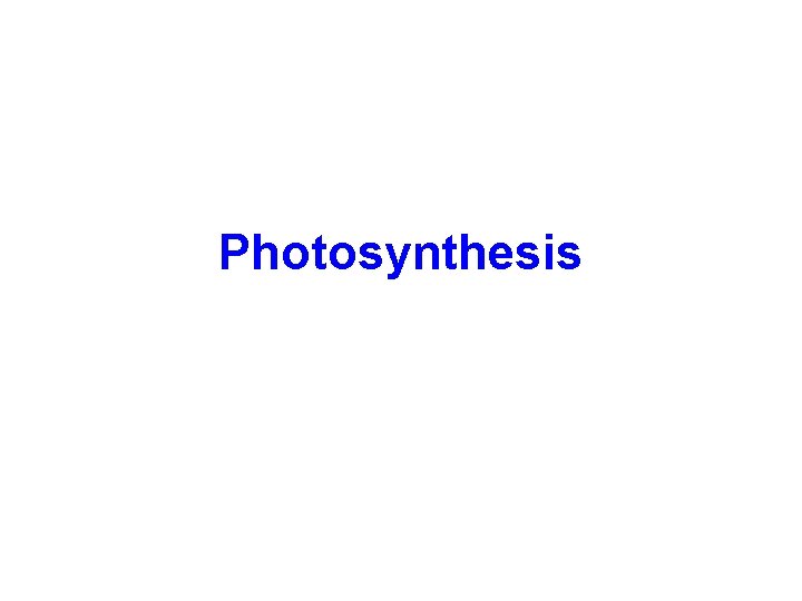 Photosynthesis 