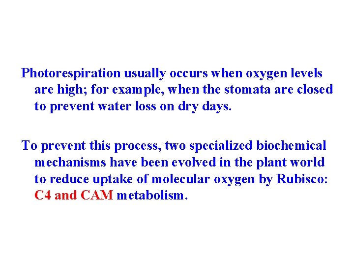 Photorespiration usually occurs when oxygen levels are high; for example, when the stomata are