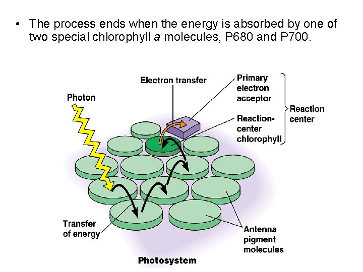  • The process ends when the energy is absorbed by one of two