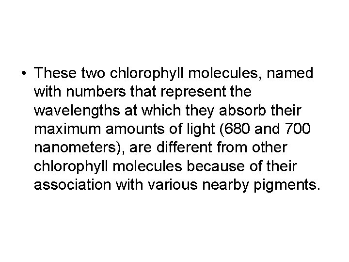  • These two chlorophyll molecules, named with numbers that represent the wavelengths at