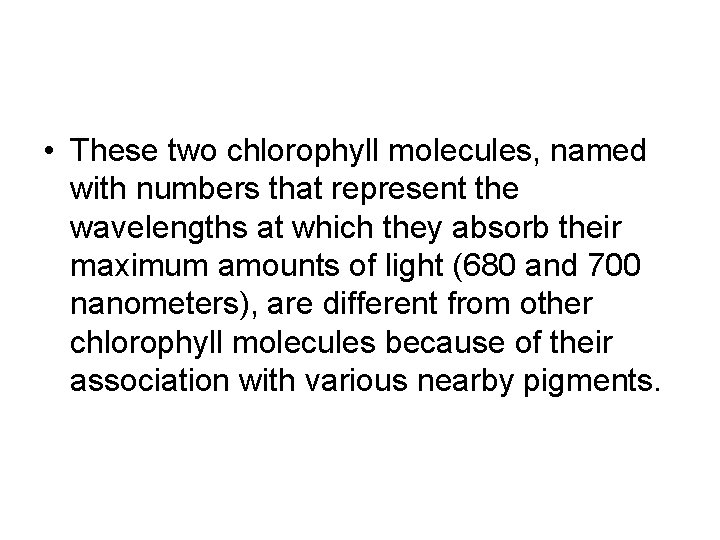  • These two chlorophyll molecules, named with numbers that represent the wavelengths at