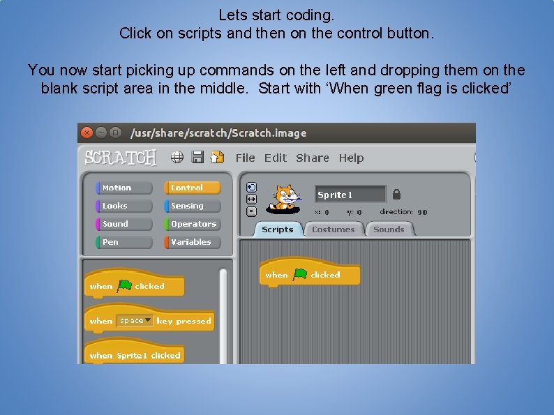 Lets start coding. Click on scripts and then on the control button. You now