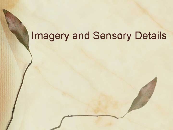 Imagery and Sensory Details 