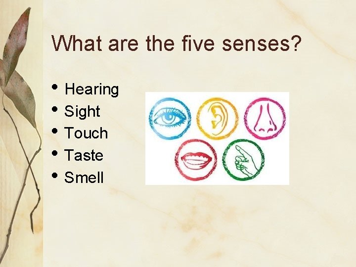 What are the five senses? • Hearing • Sight • Touch • Taste •