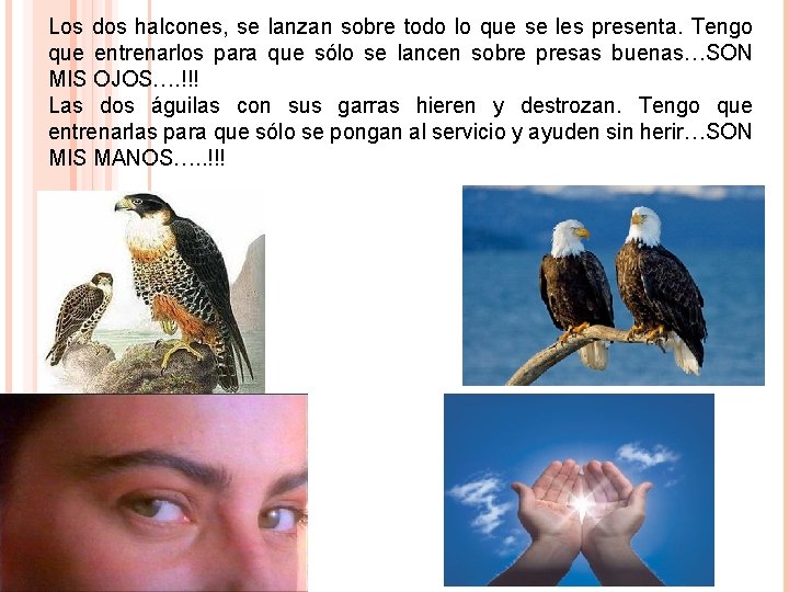Los dos halcones, se lanzan sobre todo lo que se les presenta. Tengo que Los dos halcones, se lanzan sobre todo lo que se les presenta. Tengo que