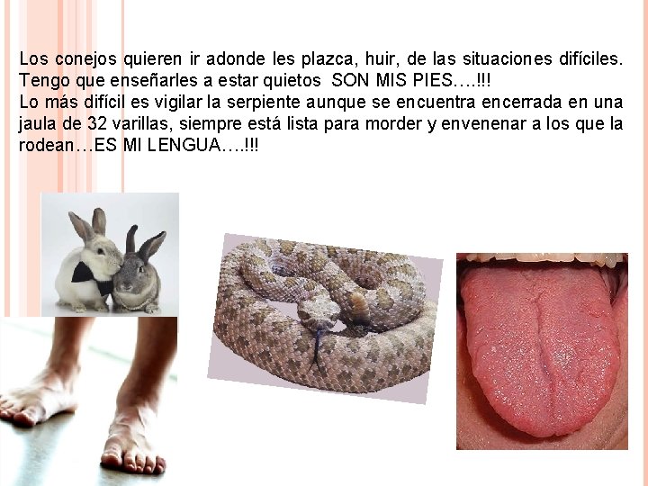 Los conejos quieren ir adonde les plazca, huir, de las situaciones difíciles. Tengo que Los conejos quieren ir adonde les plazca, huir, de las situaciones difíciles. Tengo que