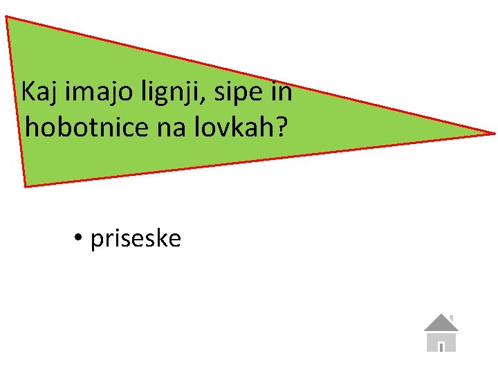 Kaj imajo lignji, sipe in hobotnice na lovkah? • priseske 