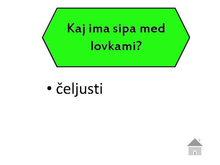 Kaj ima sipa med lovkami? • čeljusti 