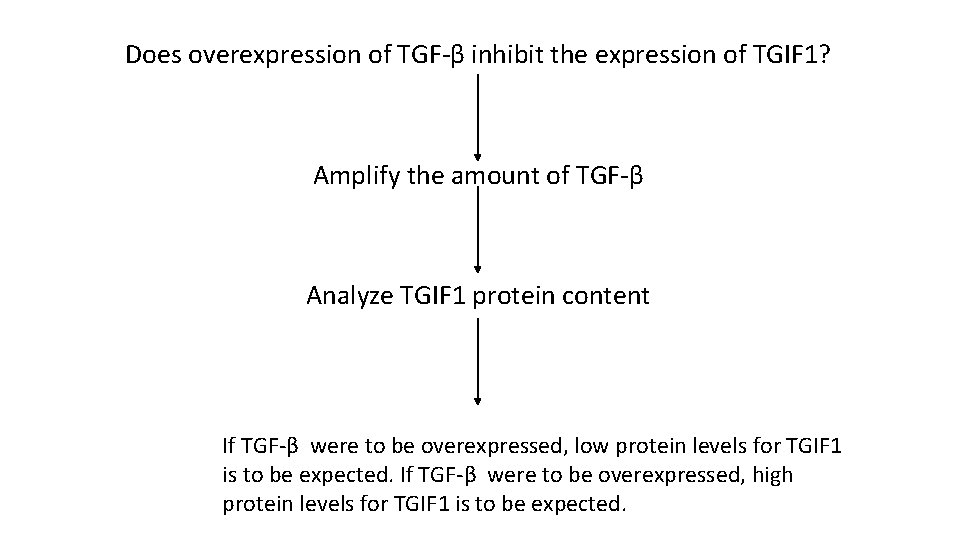 Does overexpression of TGF-β inhibit the expression of TGIF 1? Amplify the amount of