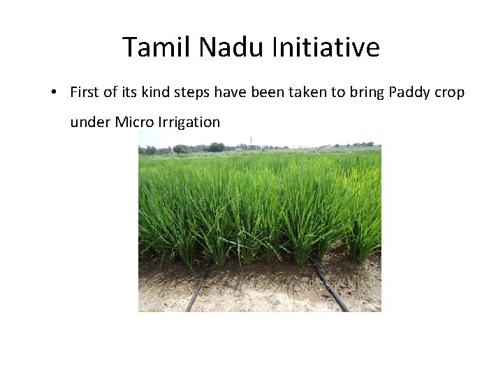 Tamil Nadu Initiative • First of its kind steps have been taken to bring