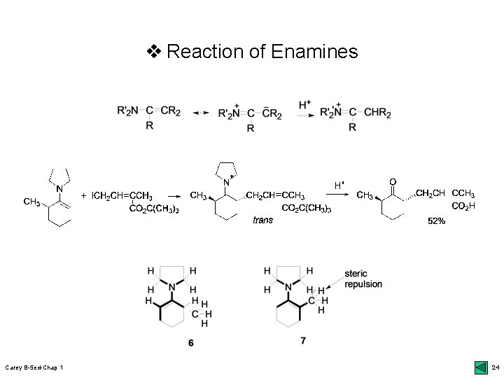 v Reaction of Enamines Carey B-5 ed-Chap 1 24 v Reaction of Enamines Carey B-5 ed-Chap 1 24