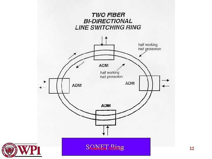 SONET Ring Networks: SONET 12 