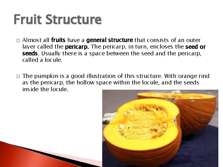Fruit Structure � � Almost all fruits have a general structure that consists of