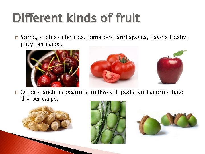 Different kinds of fruit � � Some, such as cherries, tomatoes, and apples, have