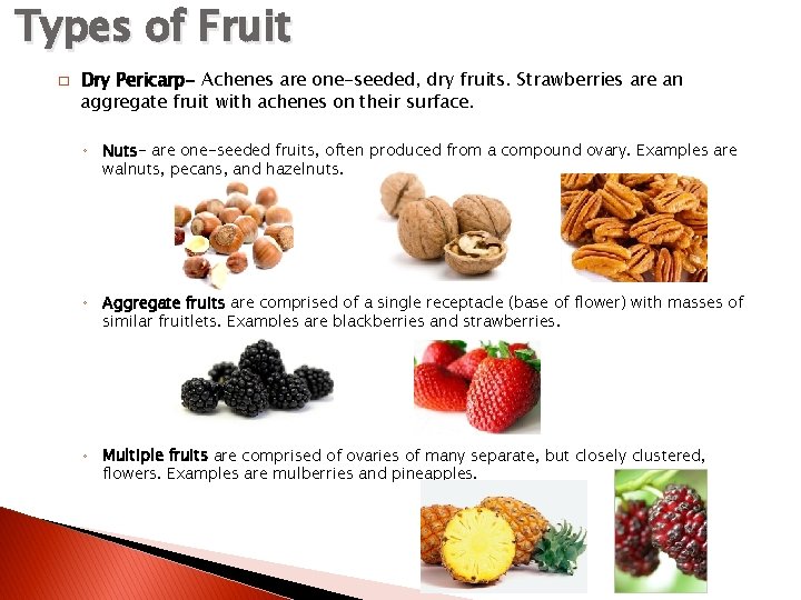 Types of Fruit � Dry Pericarp- Achenes are one-seeded, dry fruits. Strawberries are an