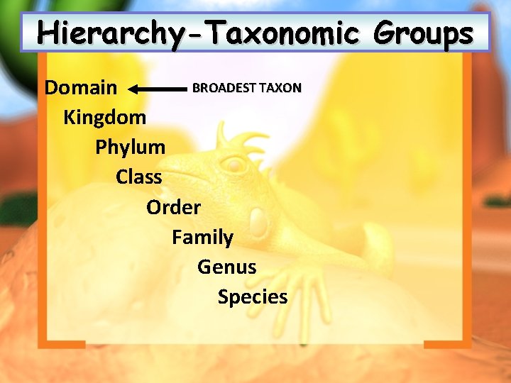 Hierarchy-Taxonomic Groups BROADEST TAXON Domain Kingdom Phylum Class Order Family Genus Species 