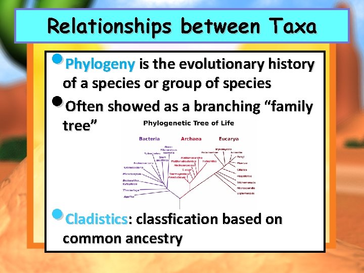 Relationships between Taxa • Phylogeny is the evolutionary history of a species or group