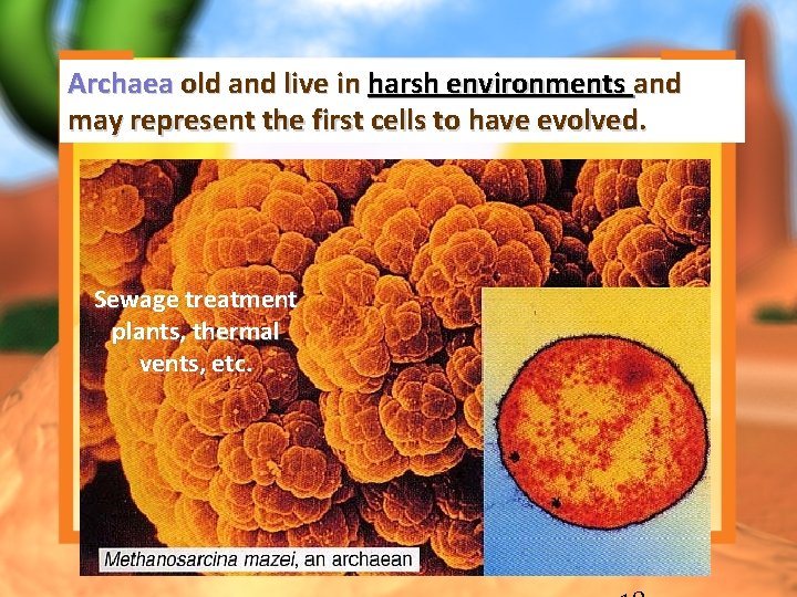 Archaea old and live in harsh environments and may represent the first cells to