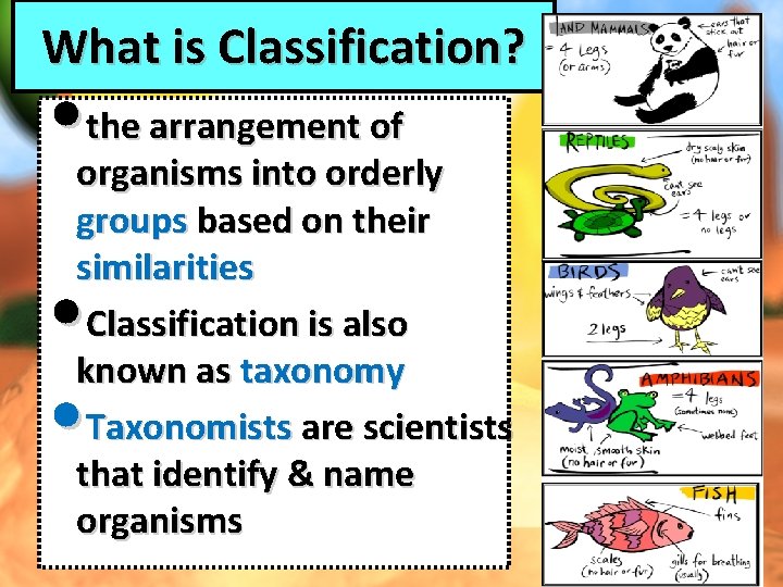 What is Classification? • the arrangement of organisms into orderly groups based on their