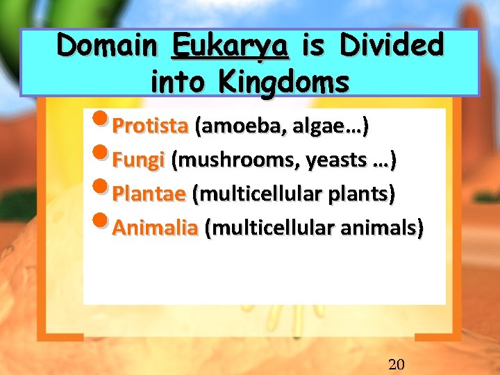 Domain Eukarya is Divided into Kingdoms • Protista (amoeba, algae…) • Fungi (mushrooms, yeasts