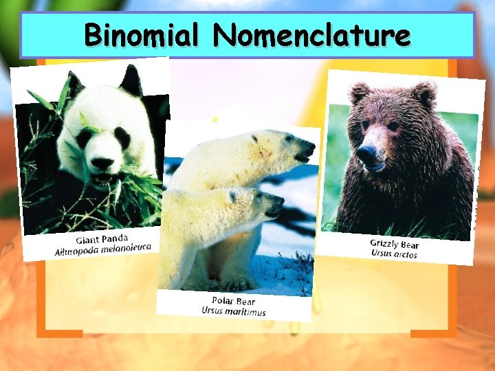 Binomial Nomenclature 