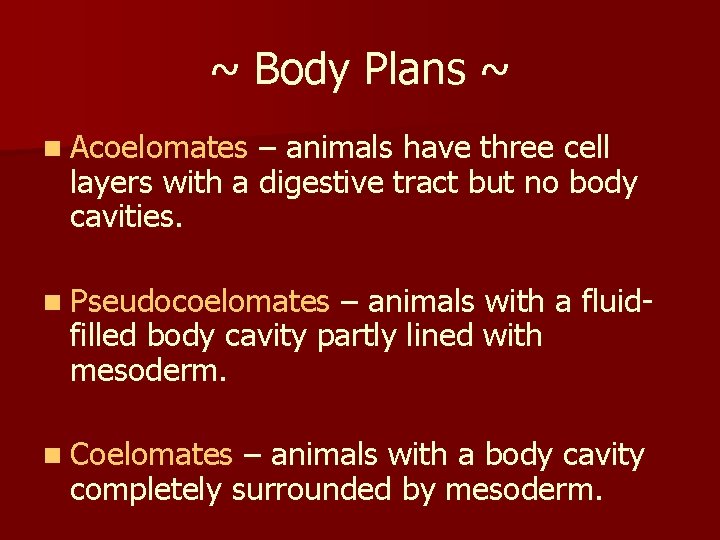 ~ Body Plans ~ n Acoelomates – animals have three cell layers with a