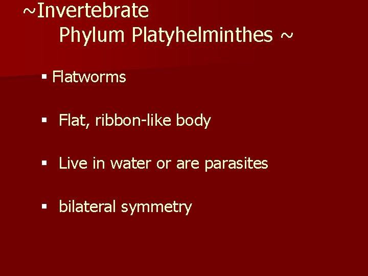 ~Invertebrate Phylum Platyhelminthes ~ § Flatworms § Flat, ribbon-like body § Live in water