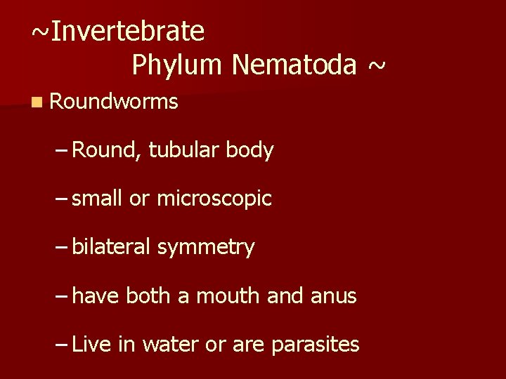 ~Invertebrate Phylum Nematoda ~ n Roundworms – Round, tubular body – small or microscopic