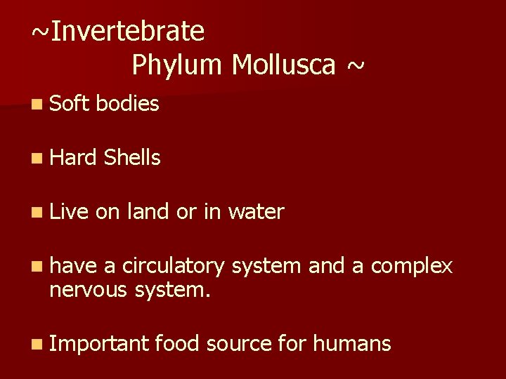 ~Invertebrate Phylum Mollusca ~ n Soft bodies n Hard n Live Shells on land