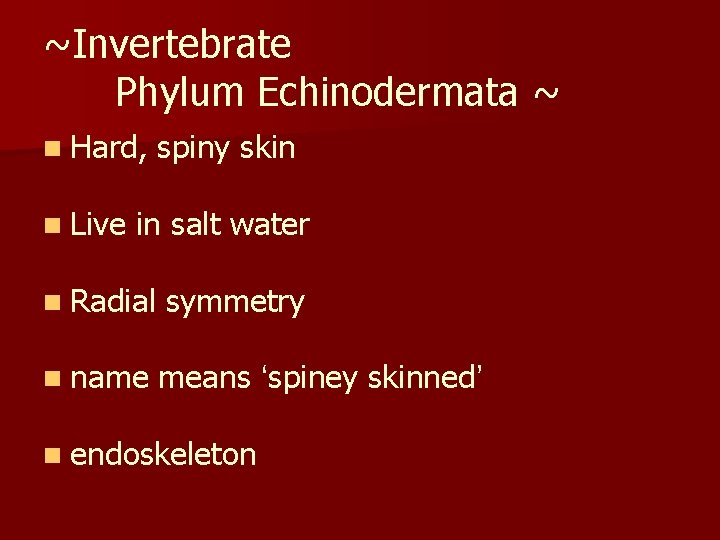 ~Invertebrate Phylum Echinodermata ~ n Hard, n Live spiny skin in salt water n