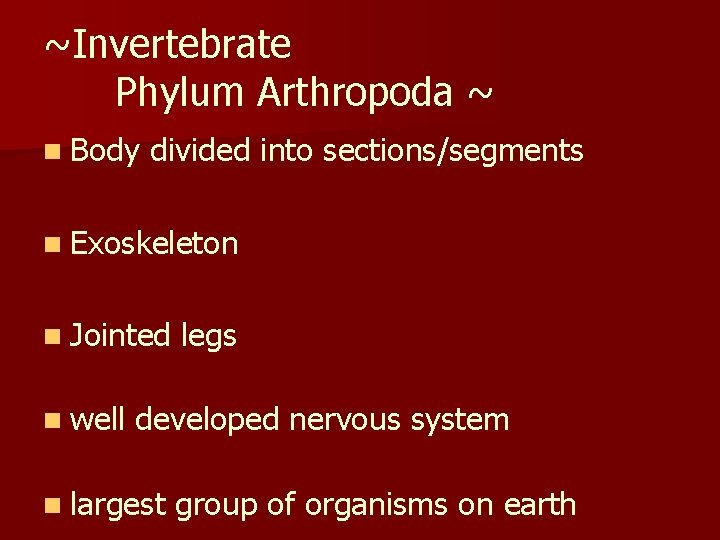 ~Invertebrate Phylum Arthropoda ~ n Body divided into sections/segments n Exoskeleton n Jointed n