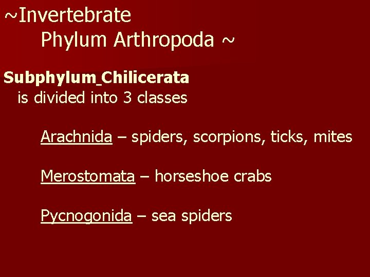 ~Invertebrate Phylum Arthropoda ~ Subphylum Chilicerata is divided into 3 classes Arachnida – spiders,